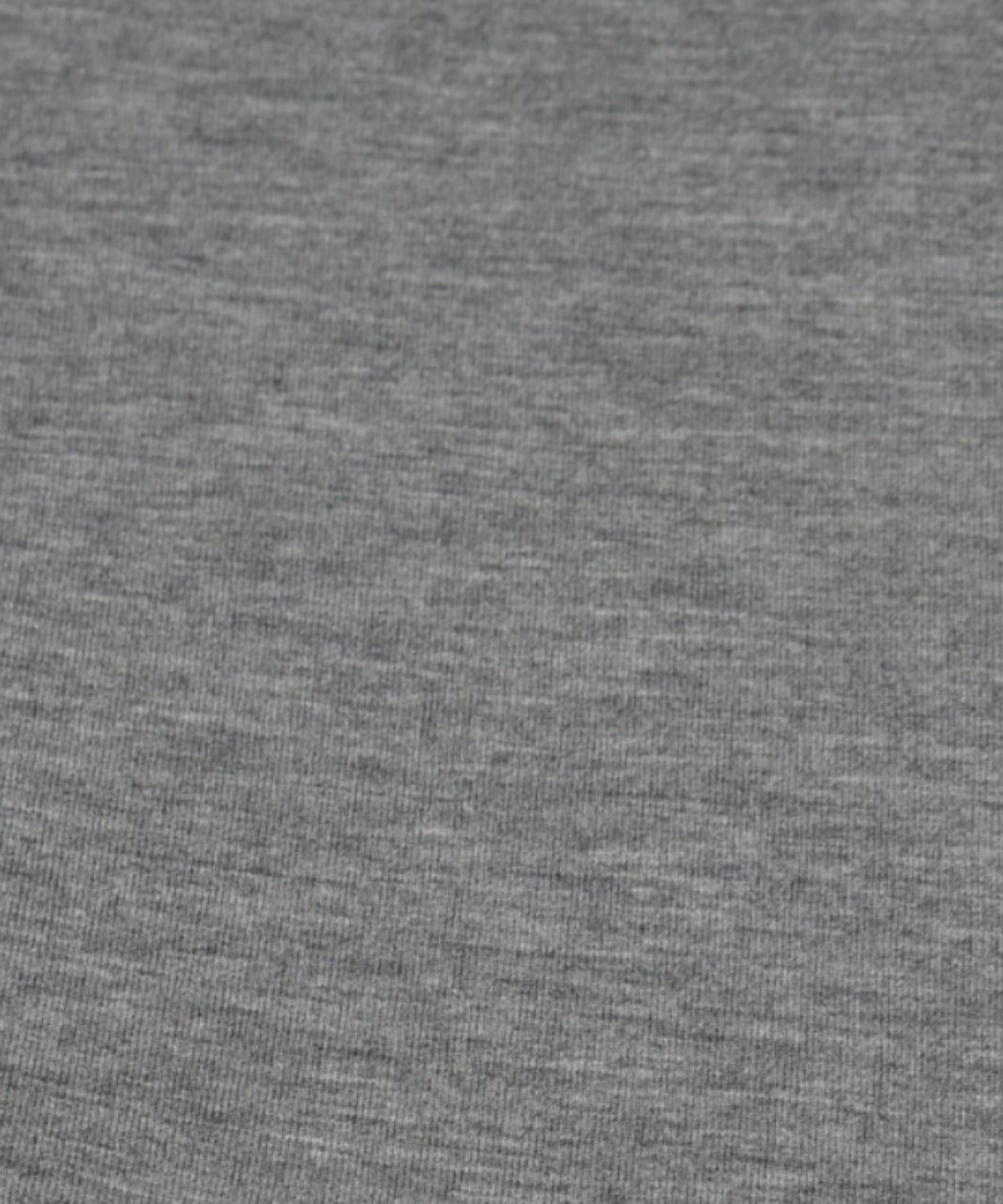 Double-knit Zip-Hoodie (無地) - ash gray