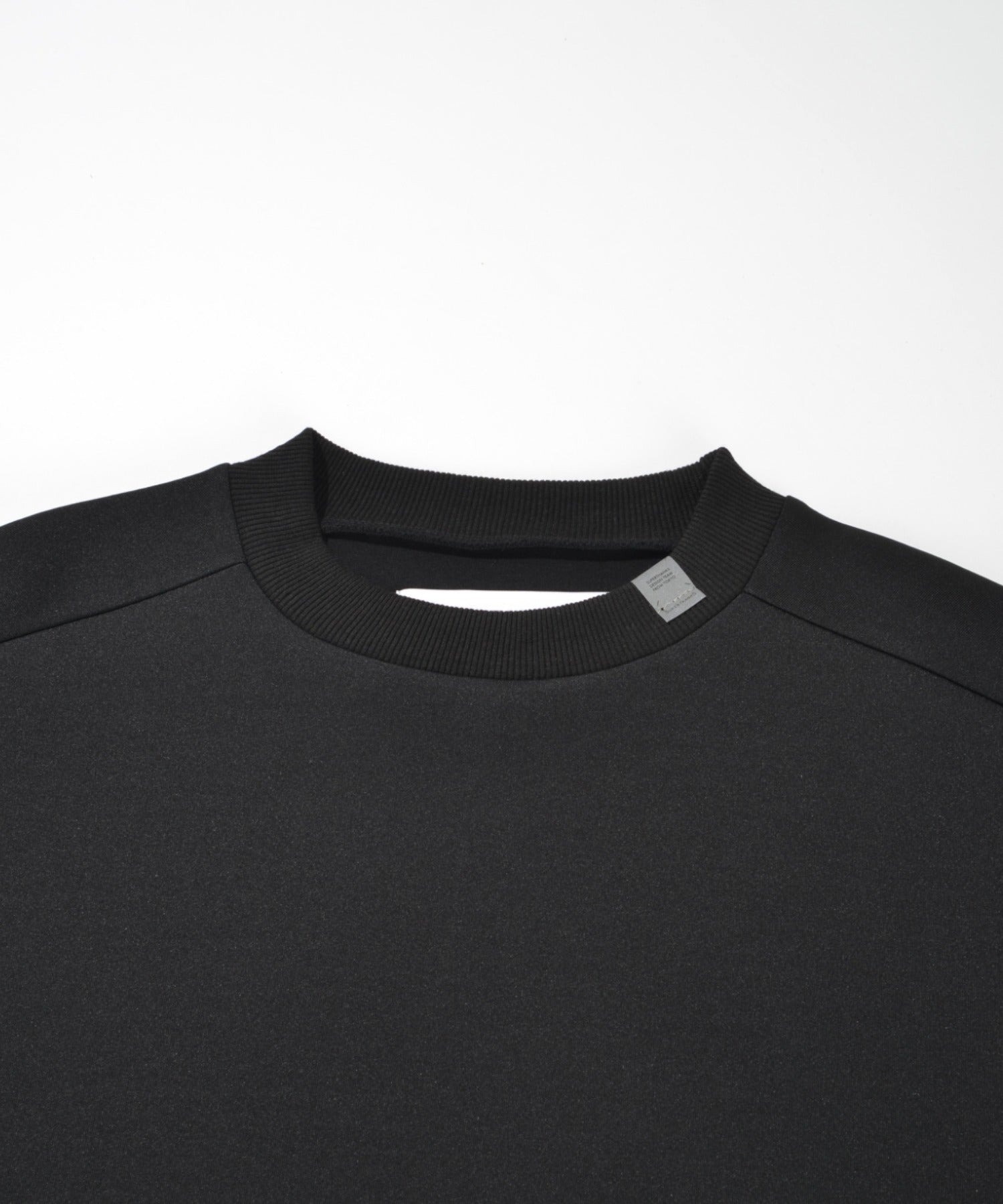 Double-knit Crew-neck (無地) - ash gray