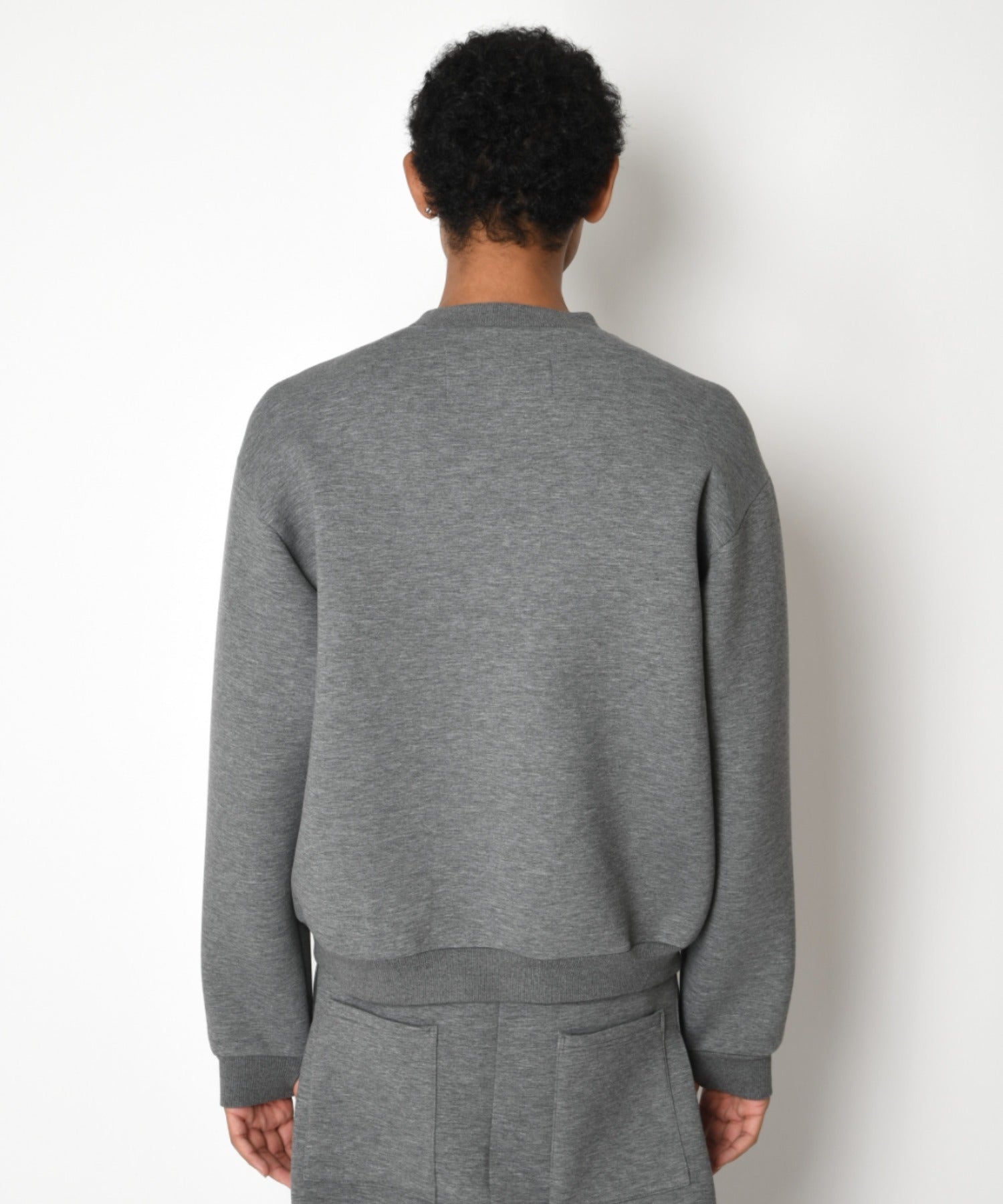 Double-knit Crew-neck (無地) - ash gray