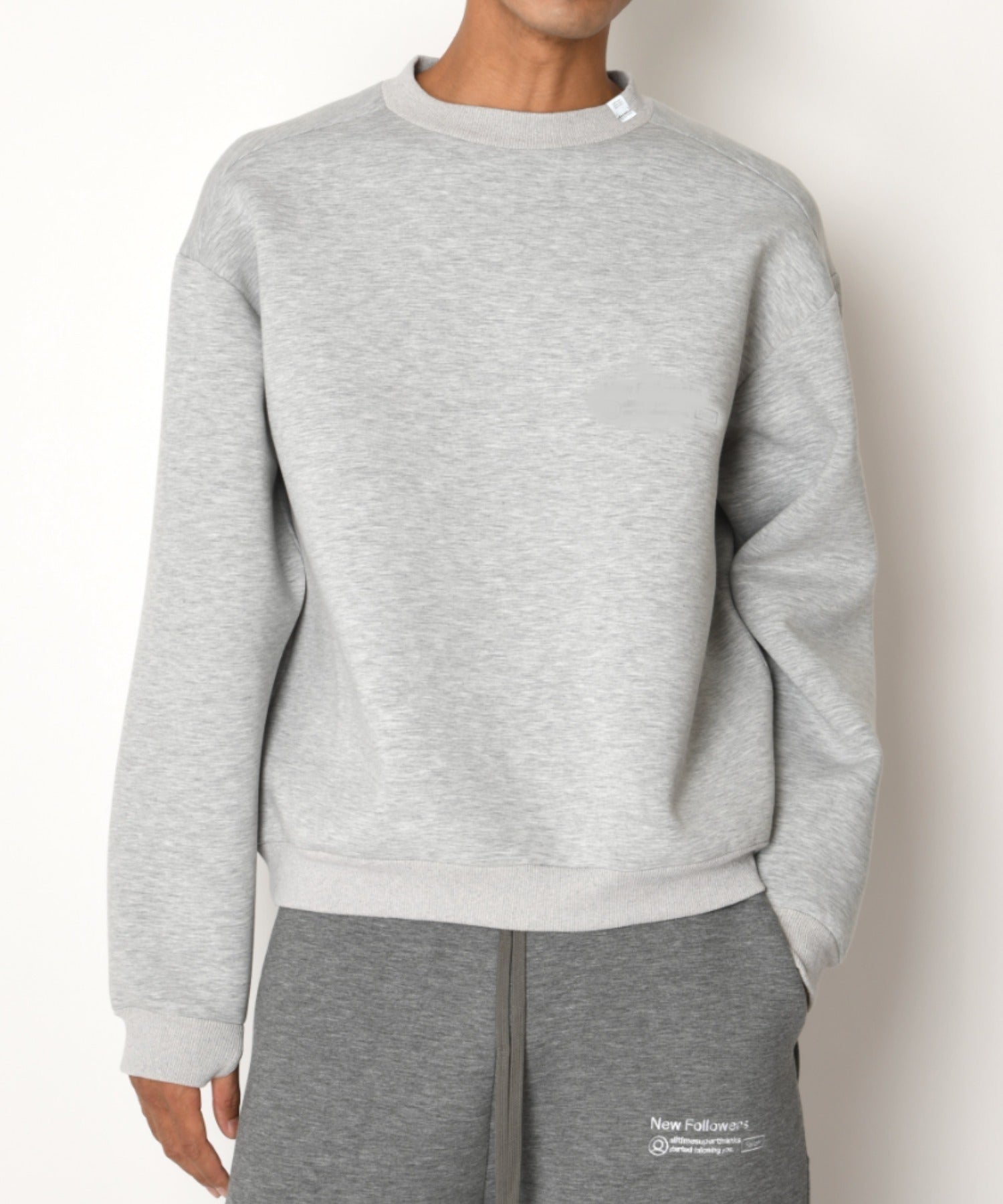 Double-knit Crew-neck (無地) - ash gray