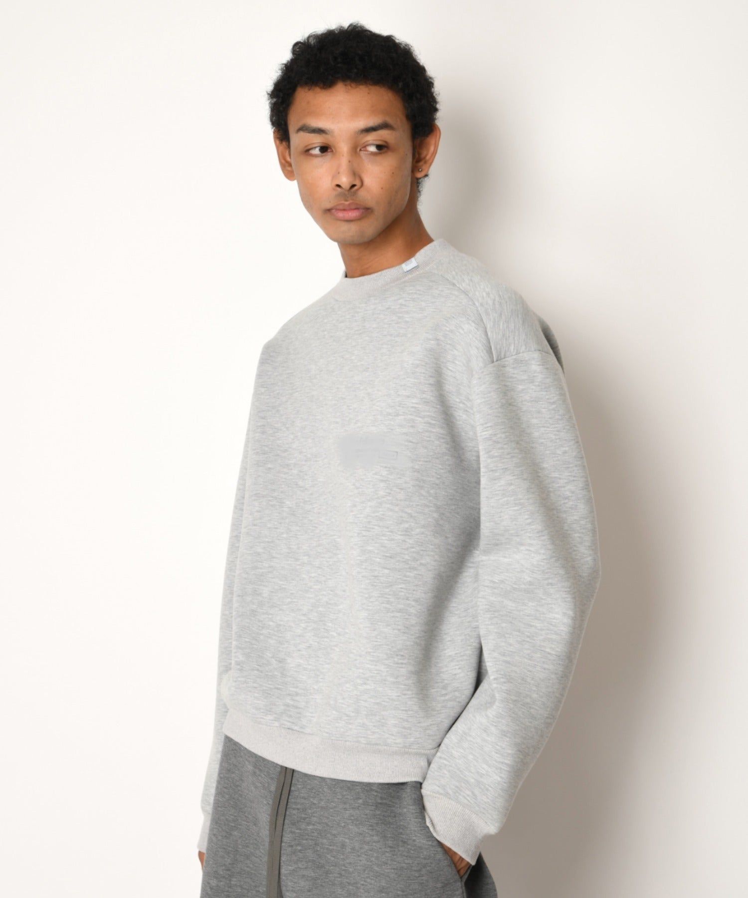 Double-knit Crew-neck (無地) - ash gray
