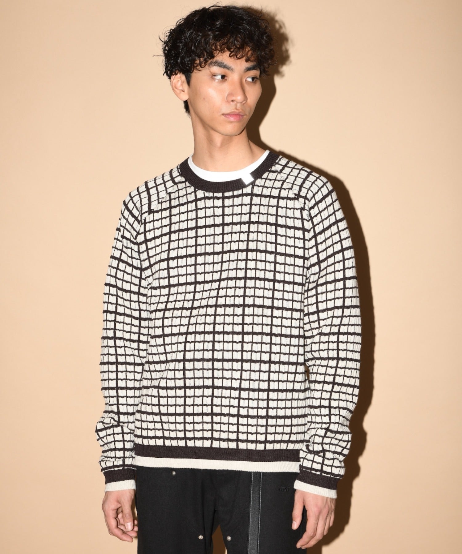 Graph check Knit Crew-neck - black/black