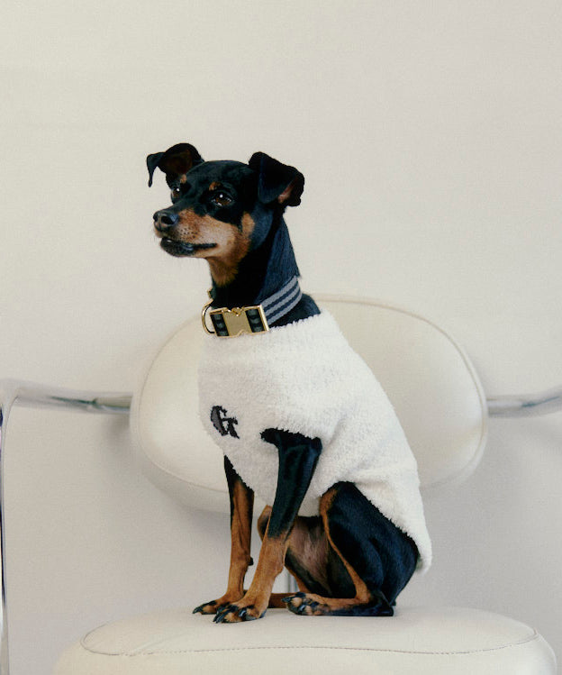 G-MARK dog wear - white