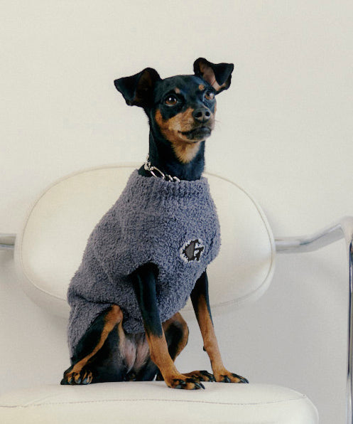 G-MARK dog wear - gray