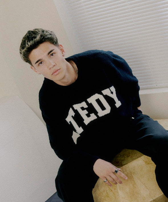 TEDY-81 LOGO crew neck - gray