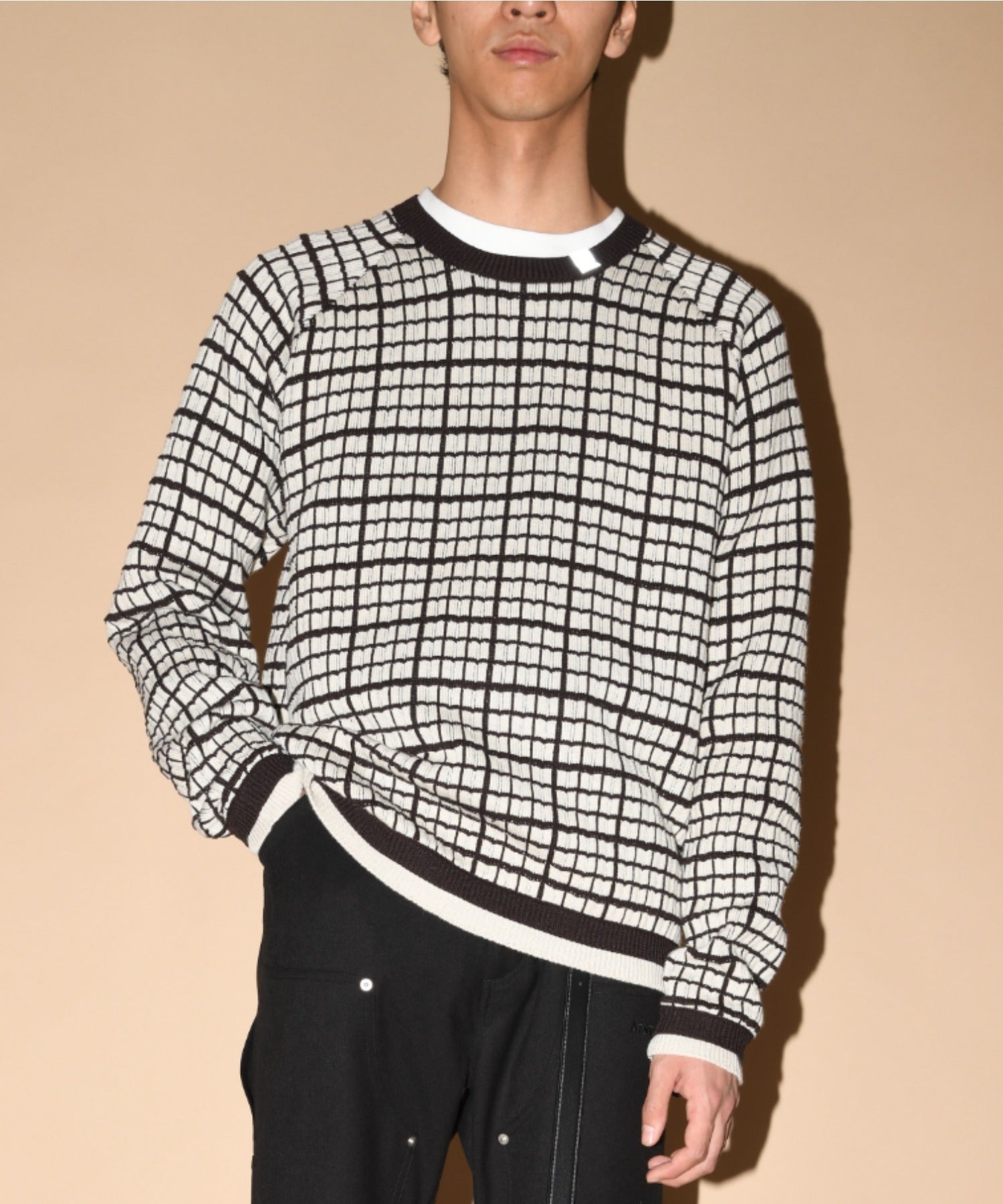 Graph check Knit Crew-neck - gray/black