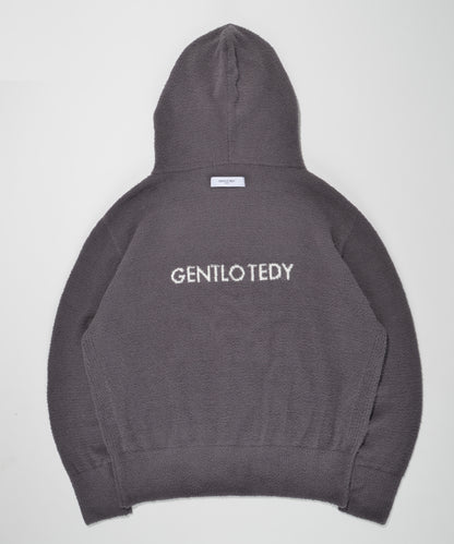 TEDY-81 LOGO hoodie - gray