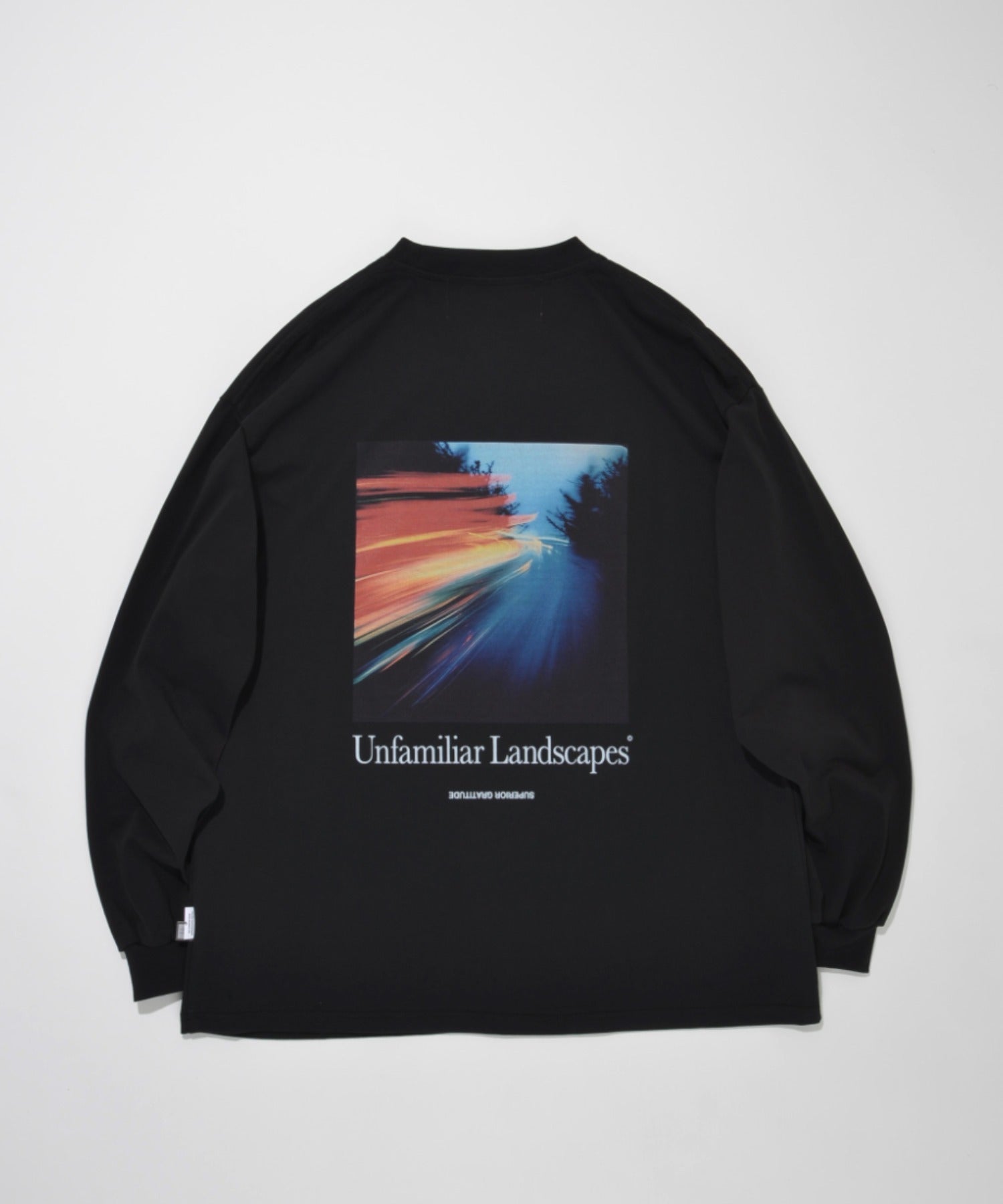 L/T"Unfamiliar landscapes" L.T - black