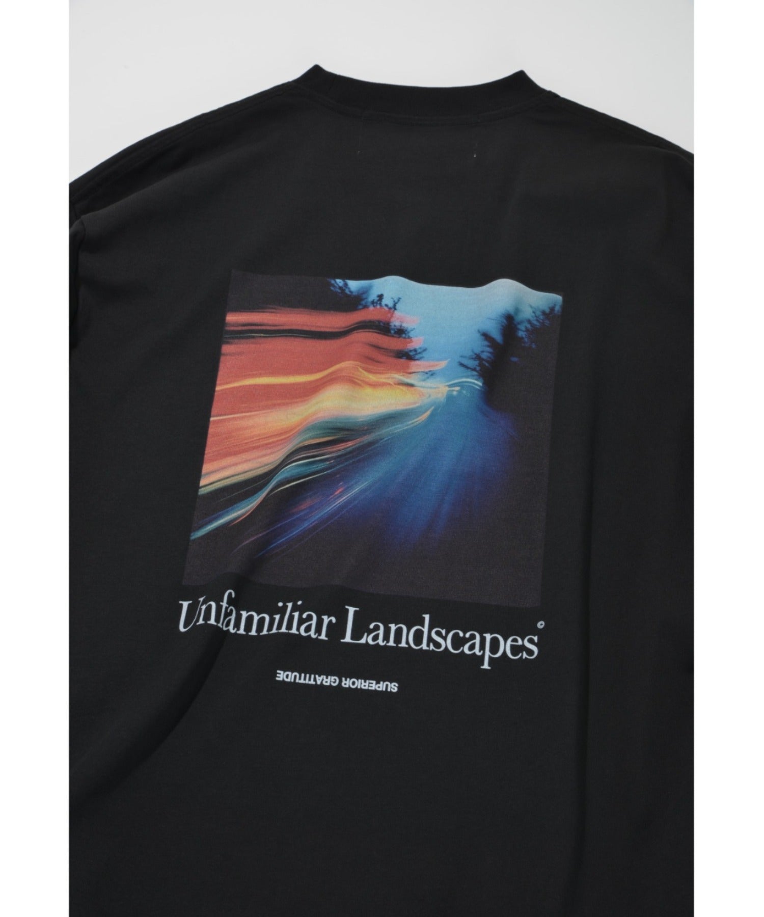 L/T"Unfamiliar landscapes" L.T - black