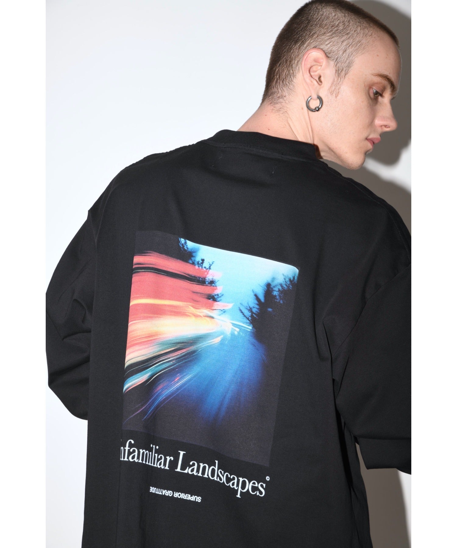 L/T"Unfamiliar landscapes" L.T - l khaki