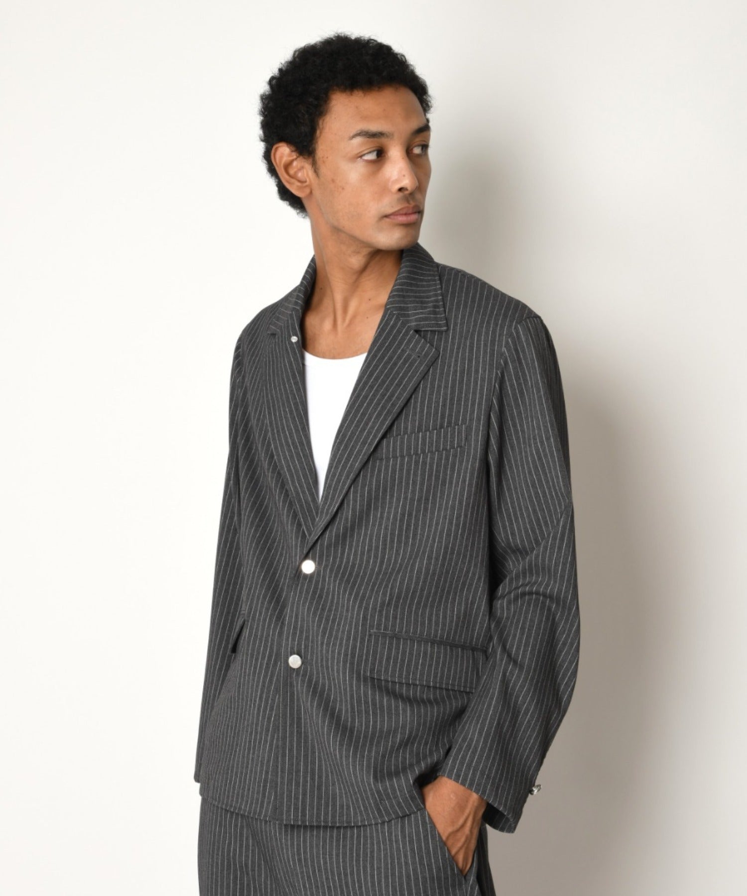 TR Pinstripe Jacket - gray/white