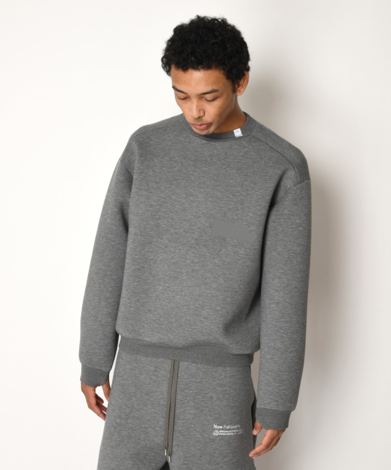 Double-knit Crew-neck （無地） - ash c.gray
