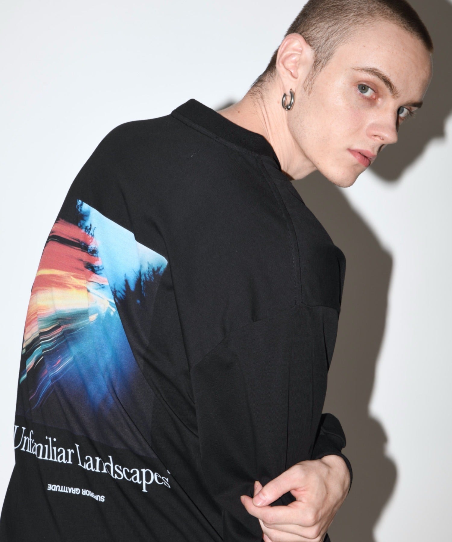 L/T"Unfamiliar landscapes" L.T - ash gray