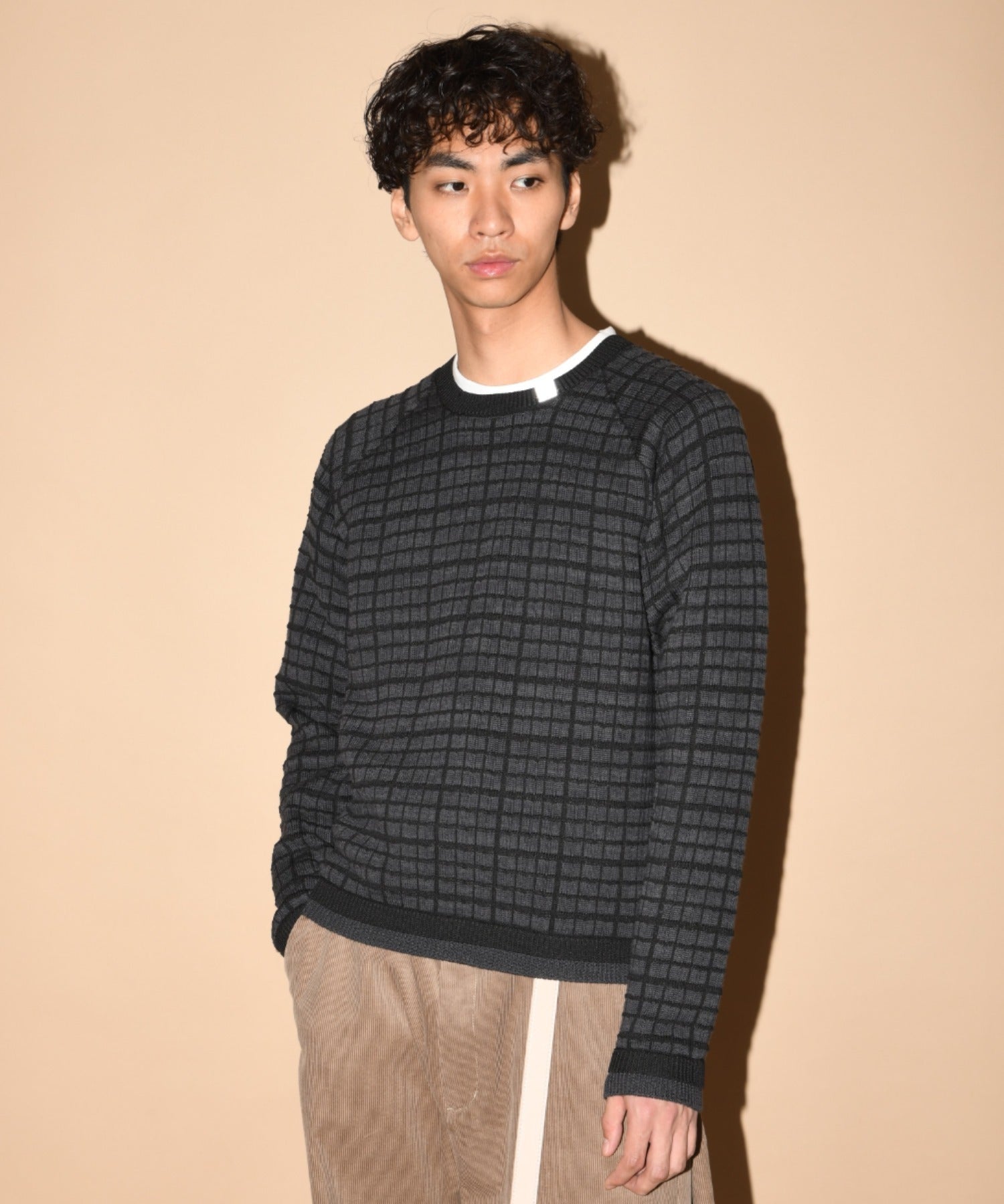 Graph check Knit Crew-neck - cream/brown