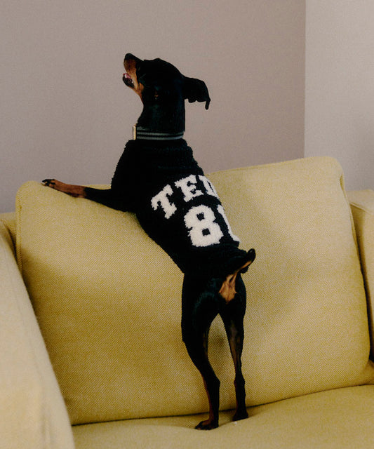 TEDY-81 LOGO dog wear - black