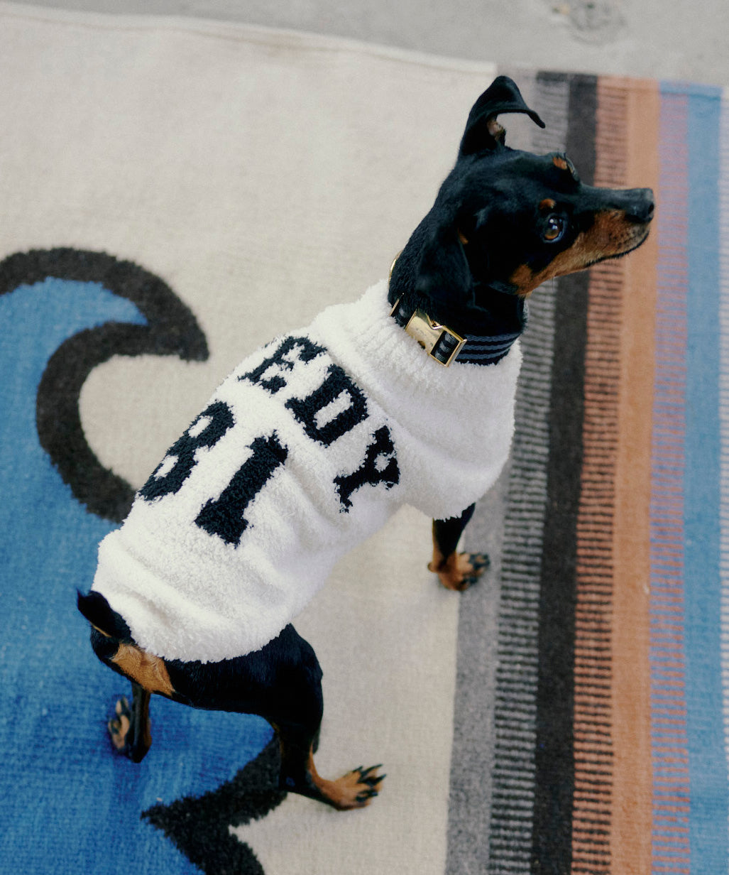 TEDY-81 LOGO dog wear - white