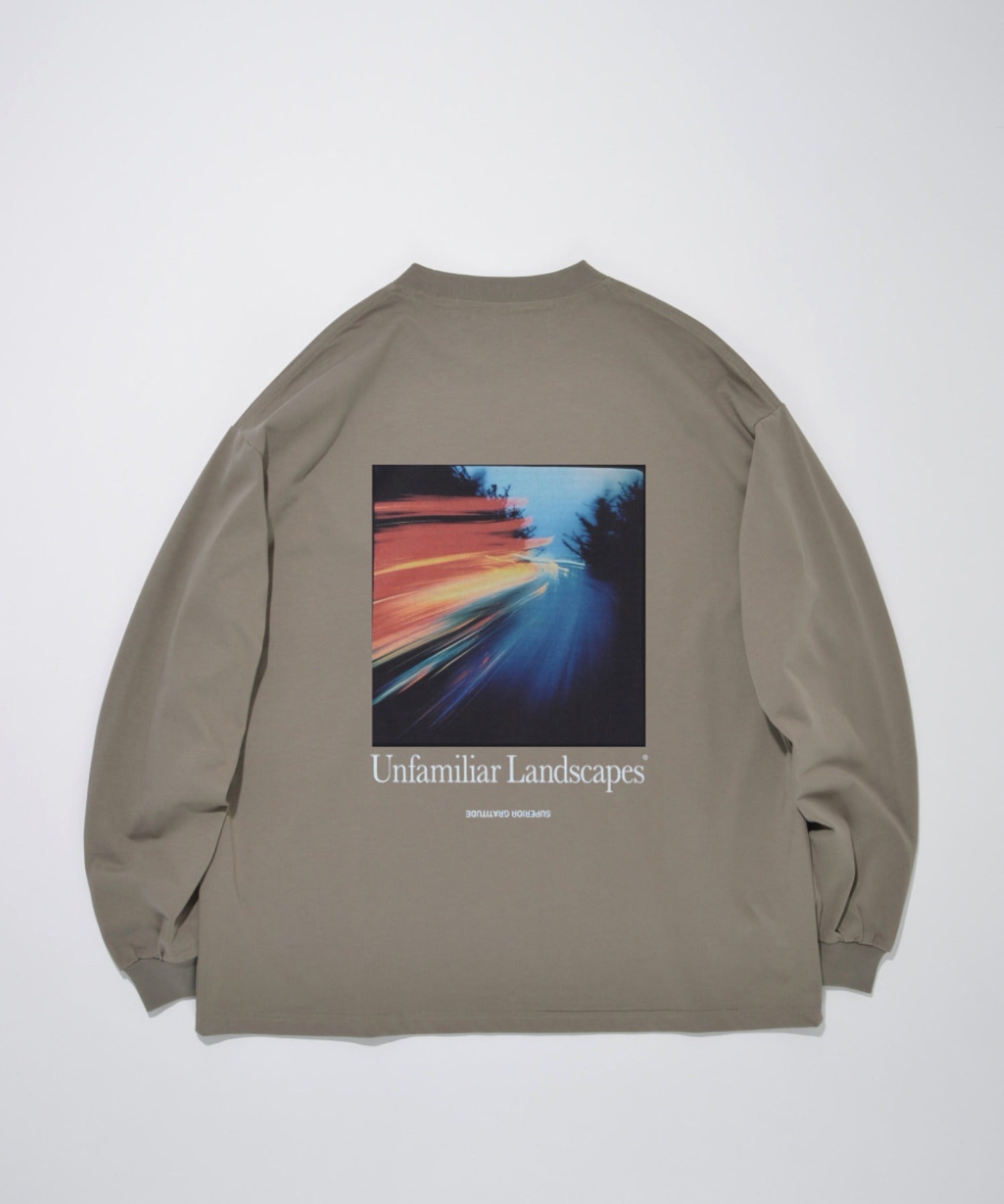 L/T"Unfamiliar landscapes" L.T - ash gray