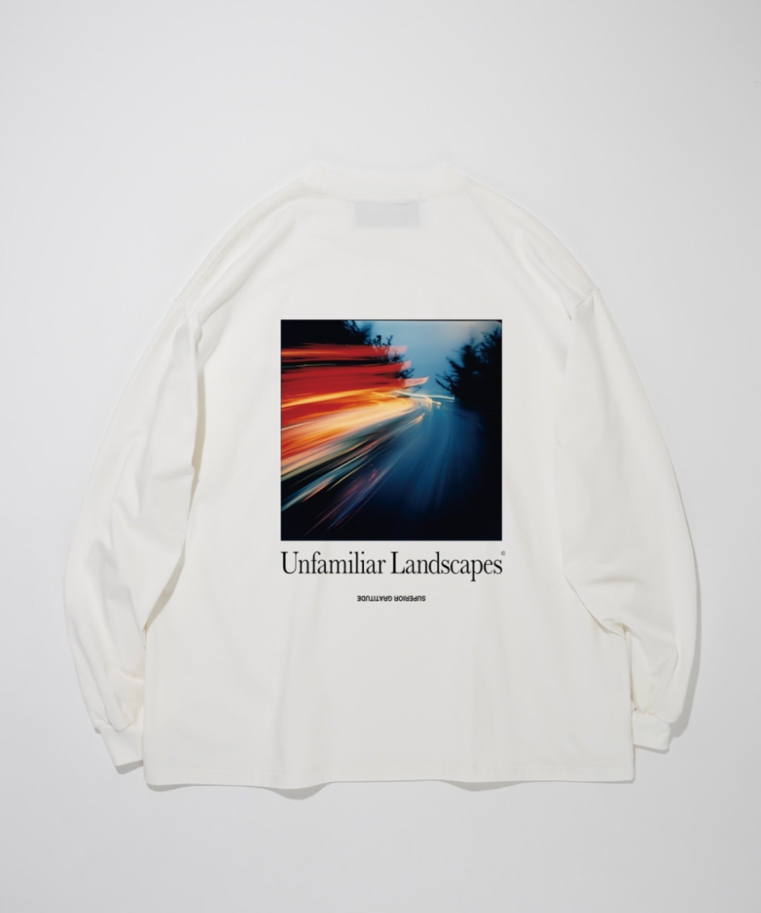 L/T"Unfamiliar landscapes" L.T - black